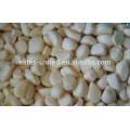 Best quality IQF frozen natural garlic price